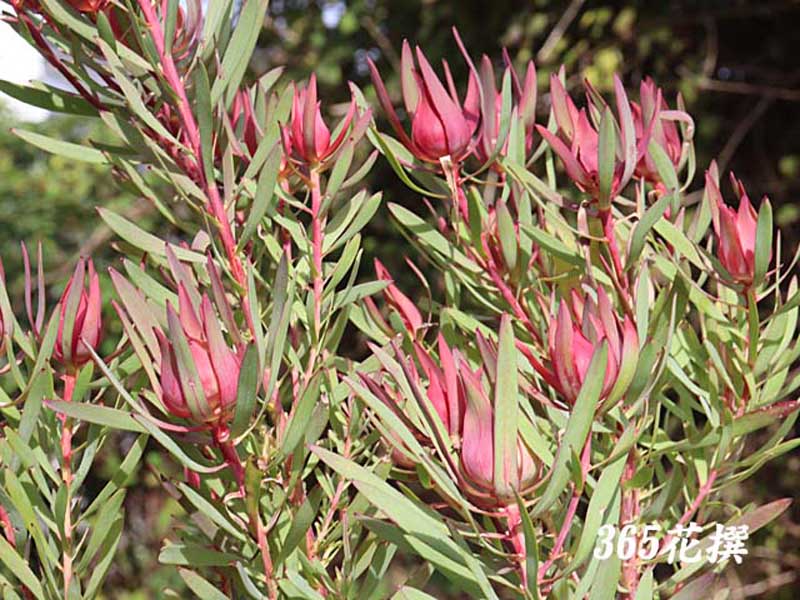 �����[�J�f���h����